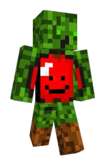 blackhawk_17593 Minecraft avatar full body