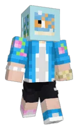 Custom render preview