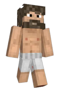 blangustin Minecraft avatar full body