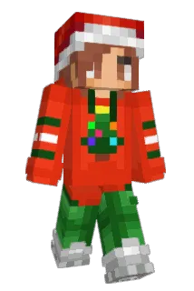 blbson Minecraft avatar full body
