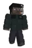 bleaau Minecraft avatar full body