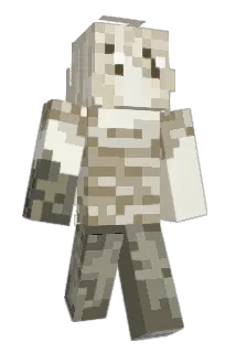 bleotter Minecraft avatar full body