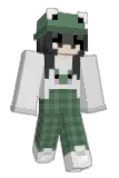 blerbi Minecraft avatar full body