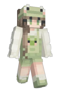 blessel Minecraft avatar full body
