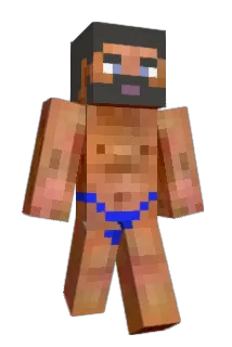 blhough Minecraft avatar full body