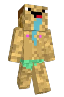 blindman1106 Minecraft avatar full body
