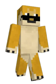 blingbloa Minecraft avatar full body