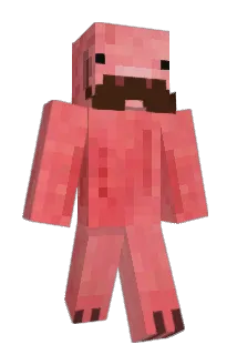 blits40 Minecraft avatar full body