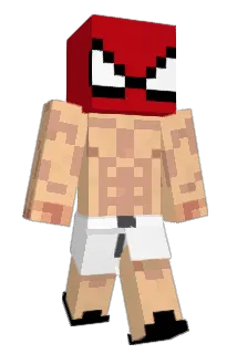 blitzeuse Minecraft avatar full body