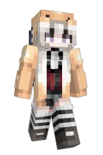 blizzrrd Minecraft avatar full body
