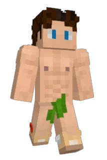 blocky1995 Minecraft avatar full body