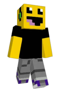 blokki1000 Minecraft avatar full body