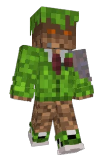 bloomscreen Minecraft avatar full body