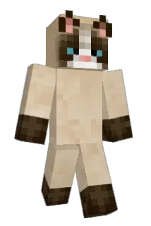 bloxcatz Minecraft avatar full body