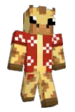 bloxerblo Minecraft avatar full body