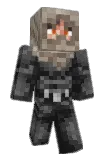 blxli Minecraft avatar full body