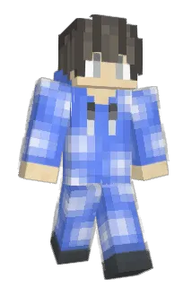 bml_876 Minecraft avatar full body