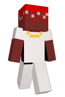 bnbnbnbn Minecraft avatar full body