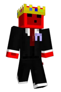 bnit317 Minecraft avatar full body