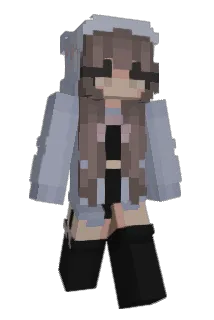 bo040 Minecraft avatar full body