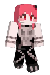 bobartist Minecraft avatar full body