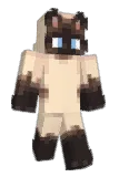 bobblebink Minecraft avatar full body
