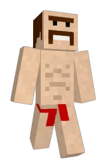 bobby6022 Minecraft avatar full body