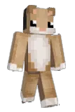 bodoji Minecraft avatar full body