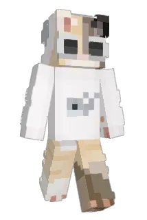 boibeas Minecraft avatar full body