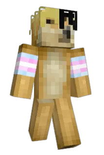 boitoy Minecraft avatar full body