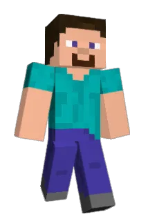 boj_17 Minecraft avatar full body