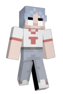 bojacke Minecraft avatar full body