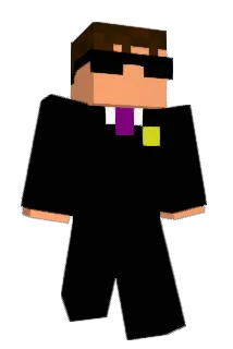 Minecraft-Avatar von bojacwise: ganzer Körper