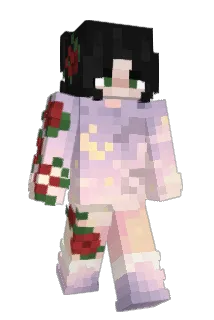 bol2soupe Minecraft avatar full body