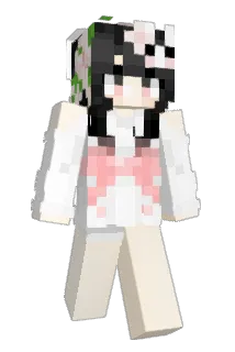 bomi6024 Minecraft avatar full body