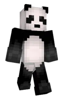 bomihyun Minecraft avatar full body
