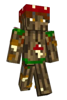 bongoyop Minecraft avatar full body