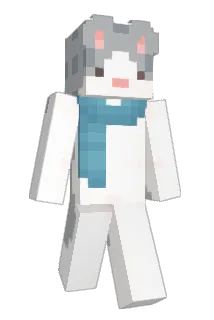 bonitfranq Minecraft avatar full body