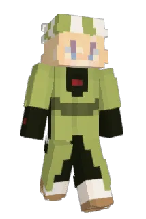 bonkwasbonking Minecraft avatar full body