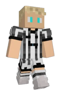 bonvis Minecraft avatar full body