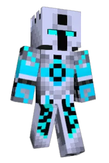 boodelro Minecraft avatar full body