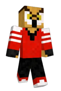 bookbook1 Minecraft avatar full body