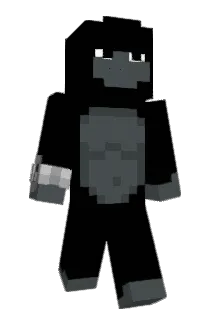 boomboom999 Minecraft avatar full body