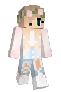 boomer133 Minecraft avatar full body