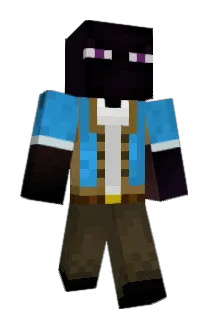 bordyAA Minecraft avatar full body