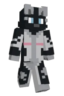 borkingbox Minecraft avatar full body
