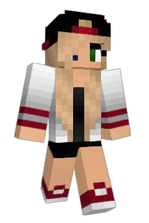 bossco112 Minecraft avatar full body