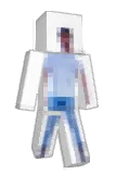 botV6 Minecraft avatar full body