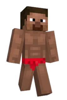 boti0907 Minecraft avatar full body