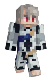 bott Minecraft avatar full body